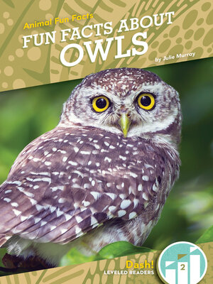 cover image of Fun Facts About Owls